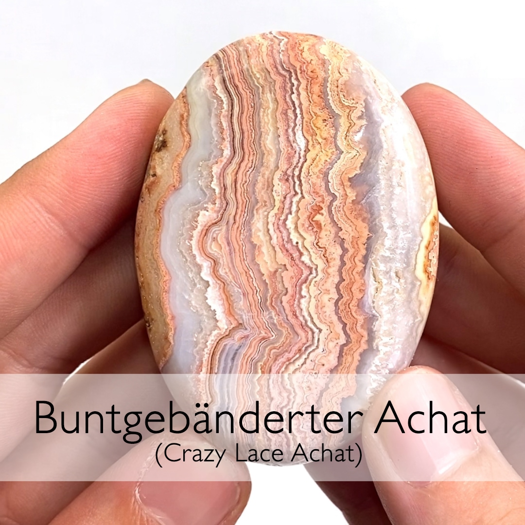 ​Anwendung und Wirkung von „Crazy Lace“ Achat