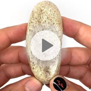 Einzelstueck-Garden-Quartz-Lodolith-A3