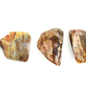 Kraftstein Versteinertes Holz - Trommelstein Glücksstein Handstein Handschmeichler